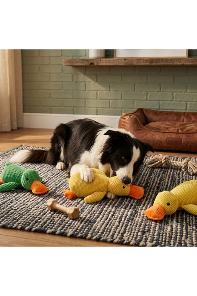 MİANNA Sesli Ördek Figürlü Peluş Köpek Oyuncağı 30 Cm Hışırtılı Isırma ve Oyu...