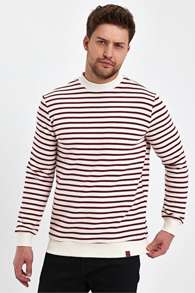 ALEXANDERGARDI Crew Neck Striped Sweatshirt (E23-761A-Erk)