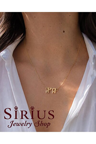 sirius jewelry 925 Gümüş | Göktürkçe İsim Kolye
