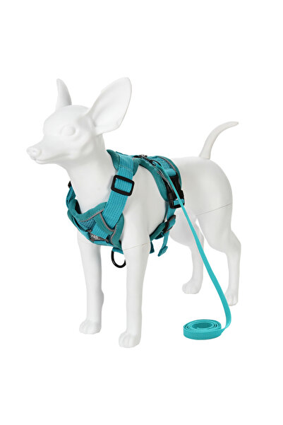 Choice4 S Turquoise Adjustable Dog Harness Leash Set for Small Medium Dogs Ca...