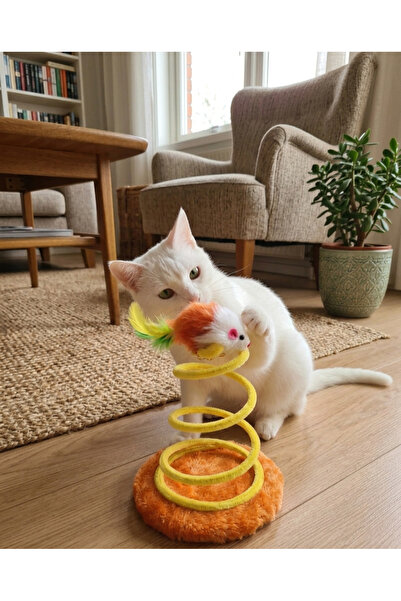 GenelTedarik Yaylı Kedi Oyuncağı Interaktif Fareli Kedi Oyuncağı Dayanıklı Eğ...