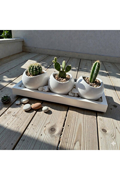 Larenza Home Modern Dekoratif Saksılık Seti Beyaz / Mermer Desen