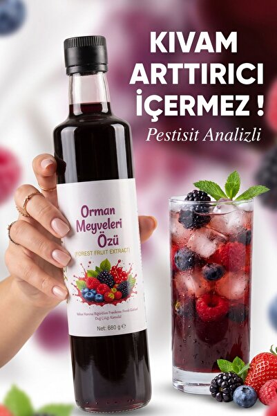 BEYGURME Orman Meyveleri Özü 680gr