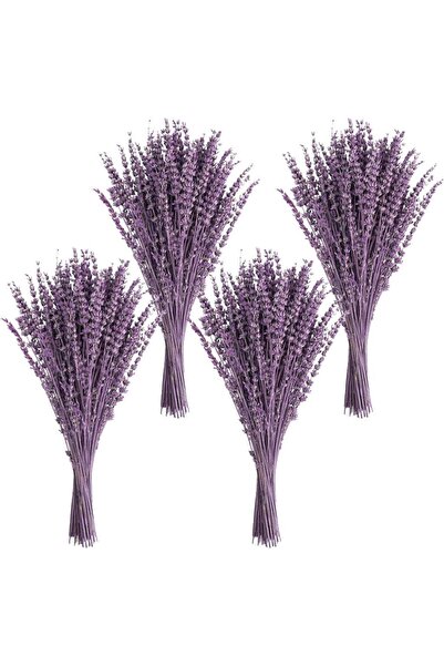 Nettenevime 4Lü Set Kuru Lavanta Çiçeği MOR Şoklanmış Stabilize Bozulmaz İtha...