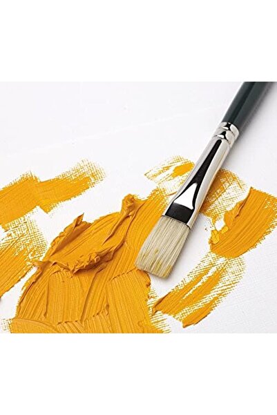 Yıldızan Tamgün & Newton Winton Oil Brush, Long Handle, 3-Pack # 2 Full Days ...