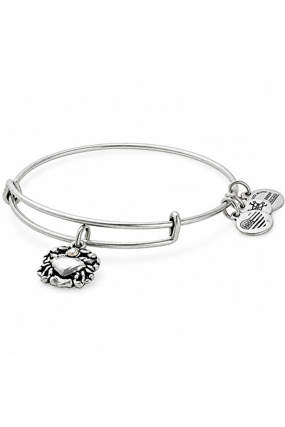 Alex and Ani Bratara Metal A17EBCRRS