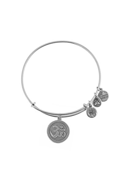 Alex and Ani Bratara Metal A14EB70RS