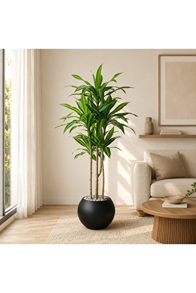 TrentonGCC Artificial Dracaena Indoor Plant in Modern Round Pot – Decorative ...