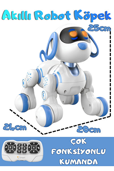 Boratila Toys Uzaktan Kumandalı Şarjlı Çok Fonksiyonlu Eğitici ve Öğretici İn...