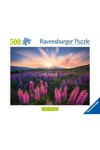 RAVENSBURGER Puzzle 2D: ≈ÅƒÖka 500 piese