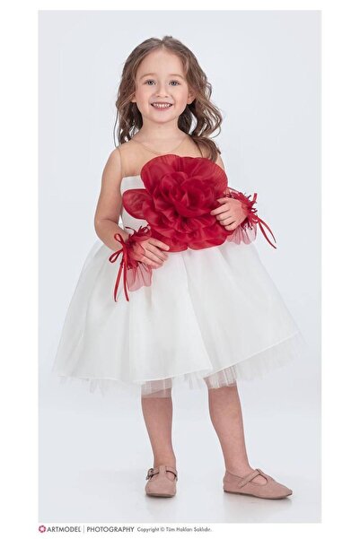 aykidsclup Girl's Floral Detailed Tulle Evening Dress - Princess Dress 1681-Y