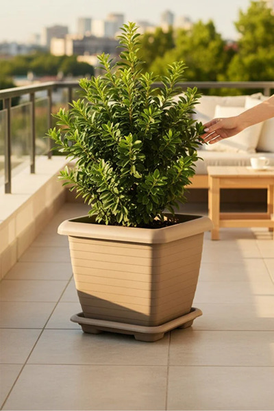 POLİVAHOME Hisar Kare Saksı 25,5 Litre Büyük Boy Ev Bahçe Balkon ve Ofis Saksı