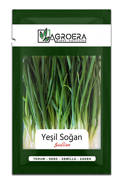 AGROERA Soğan Tohumu Demet Yeşil - Yeşil Soğan (5Gr - 900 Adet )
