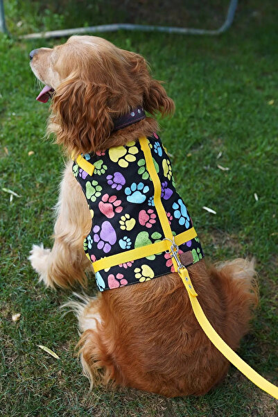 Patipatron Kaçış Önleyici Köpek Göğüs Tasma Seti Küçük Irk Ve Büyük Irk Köpek Gezdirme Tasması