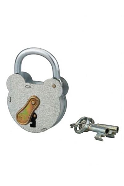 THIRARD Outdoor padlock, with key, 55 mm, galvanized,