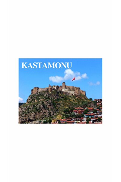 Gokco Buzdolabı Süsü Magnet Kastamonu Magneti