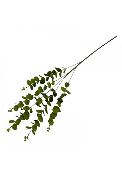 OEM Flori Artificiale Eucalipt Verde 90 Cm