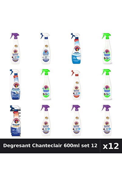 Chanteclair Set 12 Degresant Universal 600-625ml - 8 Arome Asortate Curatenie