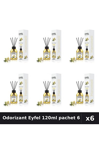 Eyfel Set 6 Odorizant Cameră Betișoare 120ml - Mâna Maicii Domnului