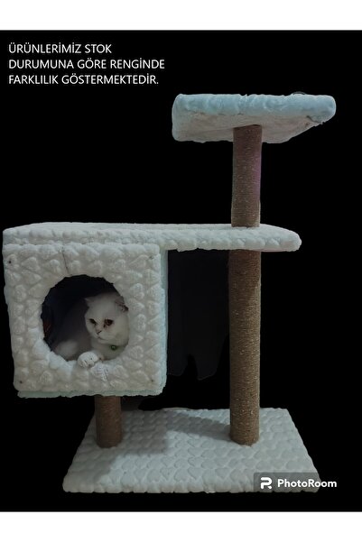 MAVİ UMAY Premium Ahşap Kedi Duvar Parkuru Tırmanma ,Oyun Seti Ve Kedi Evi