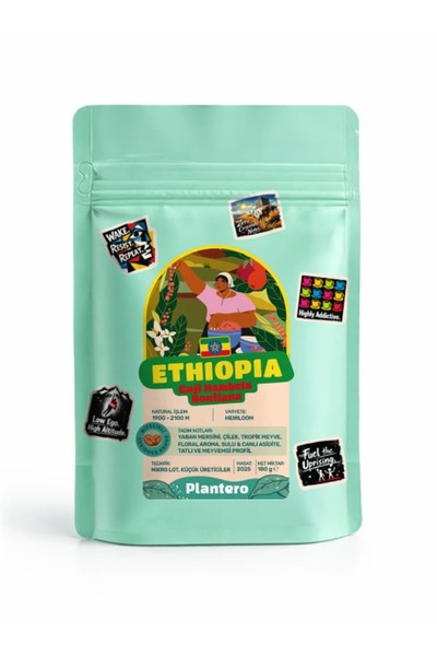 Ethiopia Sidamo Çekirdek Nitelikli Dünya Kahveleri Serisi (180g, Taze Kavrulmuş, Artizan Üretim)