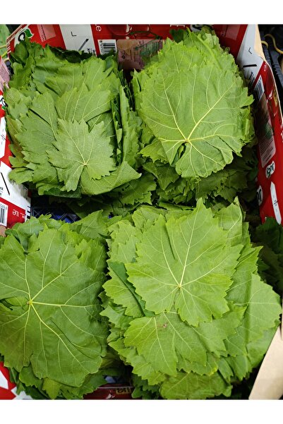 Sebze Asma yaprak 1 kg