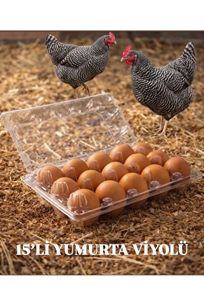 Saka Ambalaj PLASTİK 15'Lİ YUMURTA VİYOLÜ ŞEFFAF SIZDIRMAZ KAPAKLI (50 ADET)