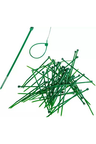 MSP Set 100 elemente de fixare tip placă 2.5 x 100 mm