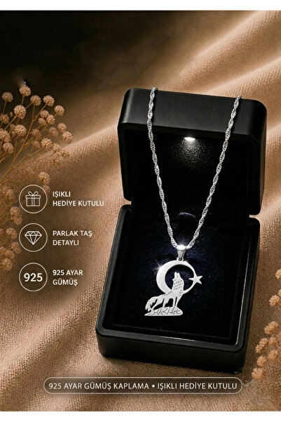 Moda Hilye www.modahilye.com Işıklı Özel Hediye Kutulu - 925 Ayar Gümüş Bozku...