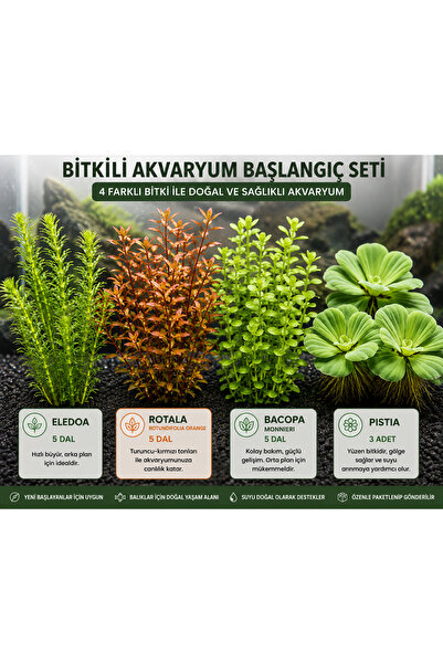 GB AQUA Bitkili Akvaryum Başlangıç Seti | Eledoa + Rotala Orange + Bacopa + P...