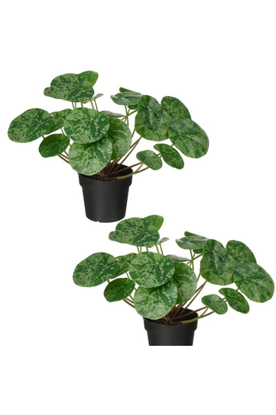 FEJKA Artificial Plant in a Pot, 2 Discs, 9 cm