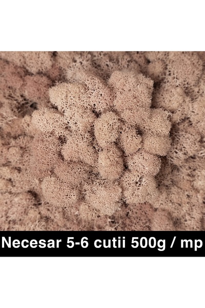 Roberto Rossi Licheni curatati si fara radacina conservati 500g NET, calitate...