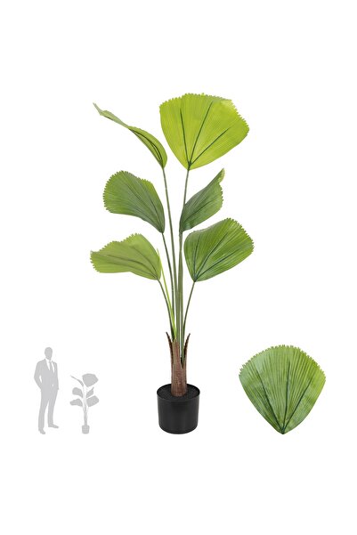Roberto Rossi Palmier artificial H110cm Licuala cu 7 tulpini si 7 frunze