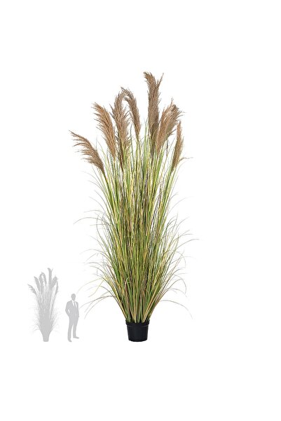 Roberto Rossi Iarba artificiala Onion 260 cm cu 10 flori naturale de pampas bej