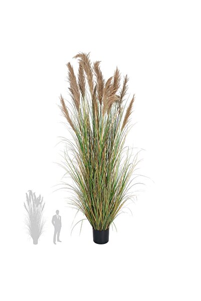 Roberto Rossi Iarba artificiala Onion 280 cm cu 13 flori naturale de pampas bej