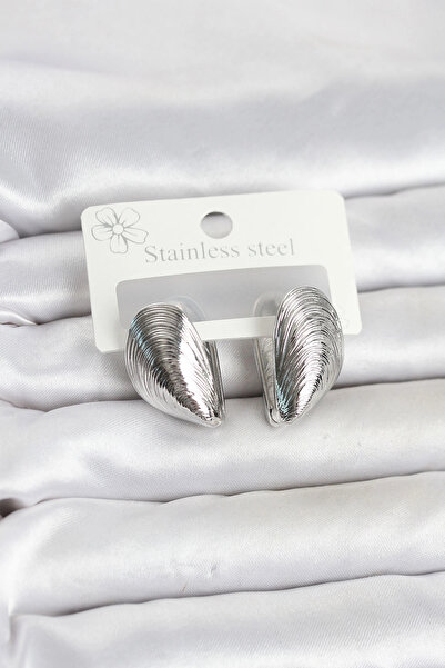 Clariss 316L Steel Silver Color Mussel Model Women's Earrings