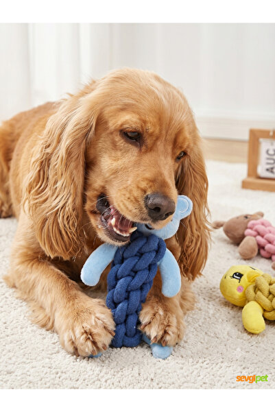 sevgipet SVGPT Örgü İp Gövdeli Peluş Kedi ve Köpek Diş Kaşıma Çiğneme Oyuncak...