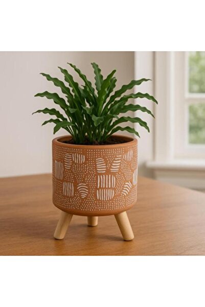 Generic Ceramic pot in a decorated clay color with a wooden base