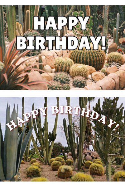 OEM Set 2 Felicitari Happy Birthday Cactus Garden, Design Botanic Vesel, Cart...