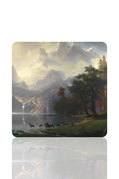BLS 30X30 cm Medium Size Gamer Gaming Mouse Pad Non-Slip Rubber Base Mouse Pa...