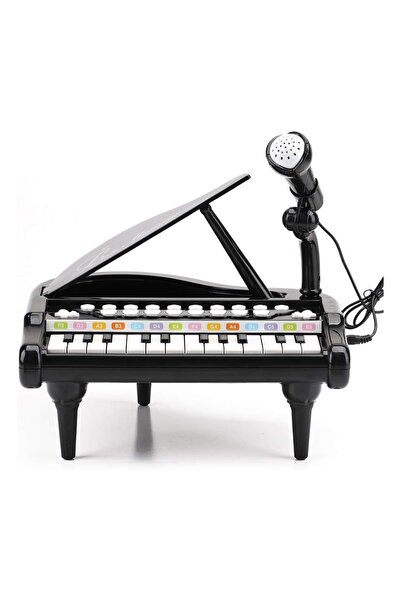 Hibobi Premium 24 Keys Black Baby Piano Toys with Microphone, Birthday Gifts ...