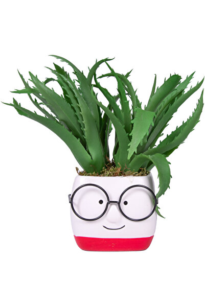 Herdekora Succulent Arrangement in Red-White Flowerpot with Glasses Green-Whi...