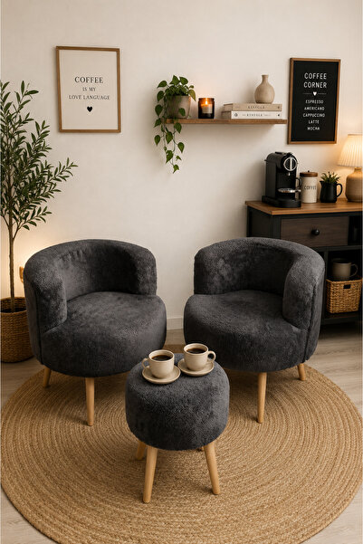 WEBPANYA Çay Seti Ikili Koltuk Berjer Ve Puf Takımı Antrasit teddy (SALON, BA...