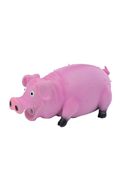 VADIGRAN Pig Squeaker Παιχνίδι Λάτεξ 20cm 140gr