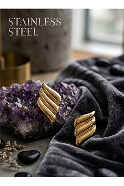 stainless steell 316L Steel Gold Color Motif Model Earrings