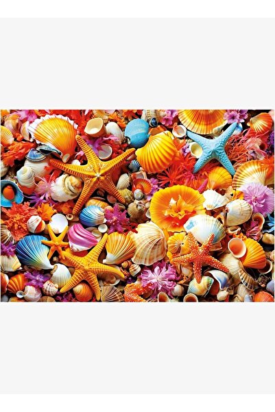 Educa Puzzle Educa 20246 Puzzle - 1000 Piece Sea Shell Collage Puzzle - Shell...