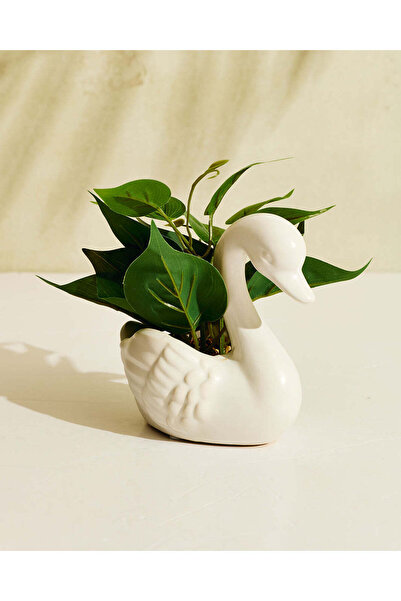 REDTAG Artificial Plants In Swan Planter
