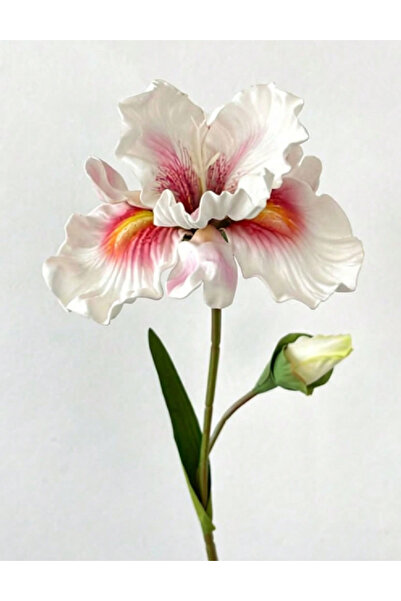 Evendi Flori decorative, Mix Culori