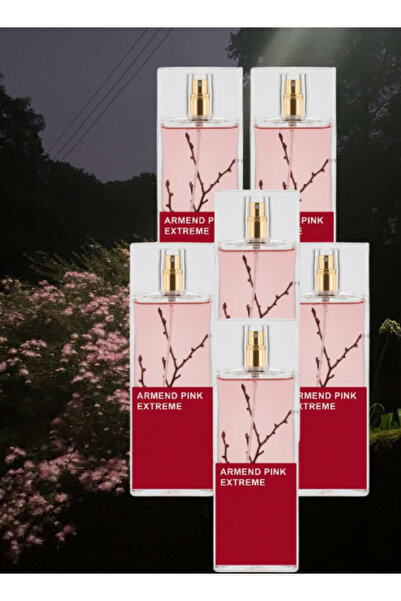Extreme 6 Pieces Armend Pink Perfume 100ML