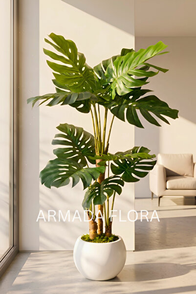 Armada Flora Yapay Monstera Ağacı 170 cm Küre Saksılı